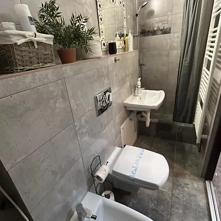 Central Apartment Apartment *