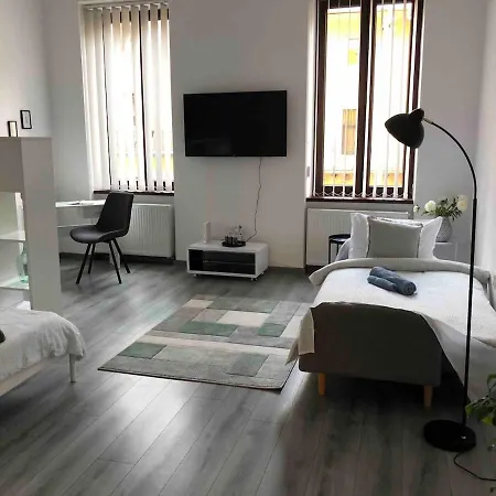 Апартаменты Central Apartment