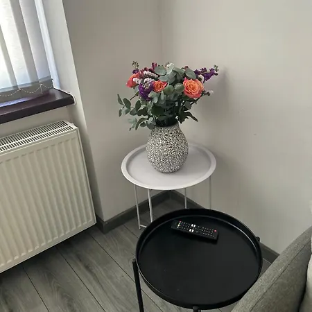 Central Apartment Apartment *