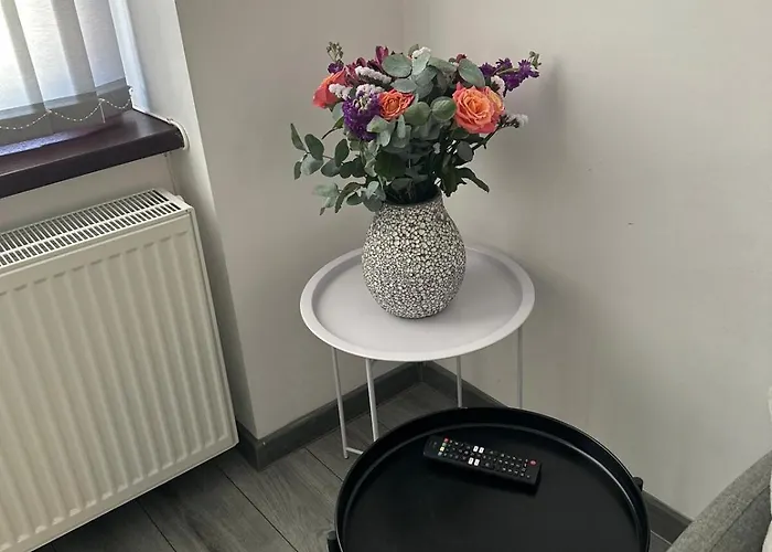 Central Apartment Apartment *