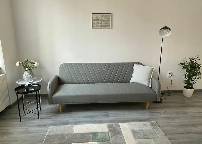 Central Apartment Apartment Cluj-Napoca