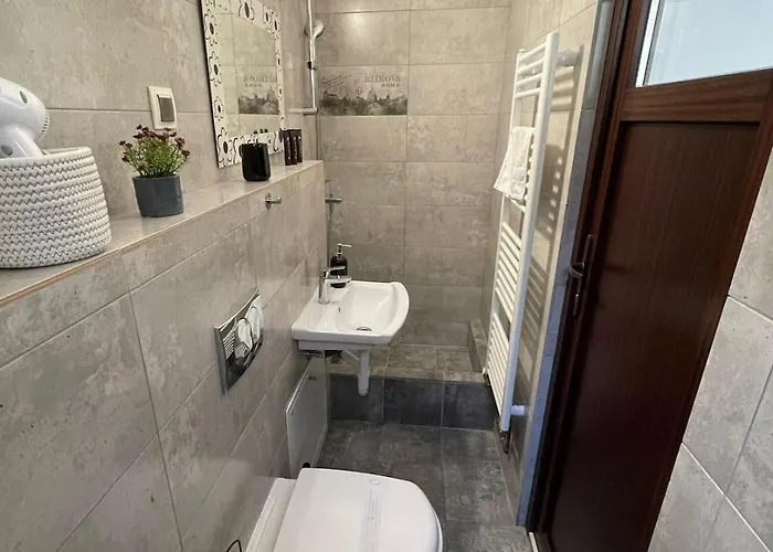 Central Apartment Cluj-Napoca